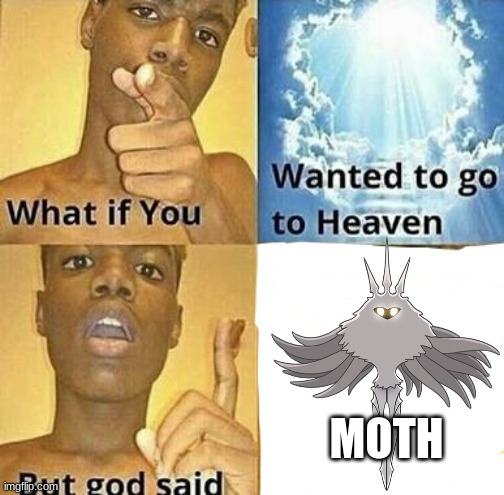 What if you wanted to go to Heaven |  MOTH | image tagged in what if you wanted to go to heaven,hollow knight,radiance,moth,memes,moth tribe | made w/ Imgflip meme maker