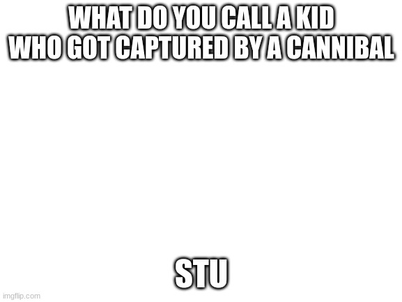 Blank White Template | WHAT DO YOU CALL A KID WHO GOT CAPTURED BY A CANNIBAL; STU | image tagged in blank white template | made w/ Imgflip meme maker