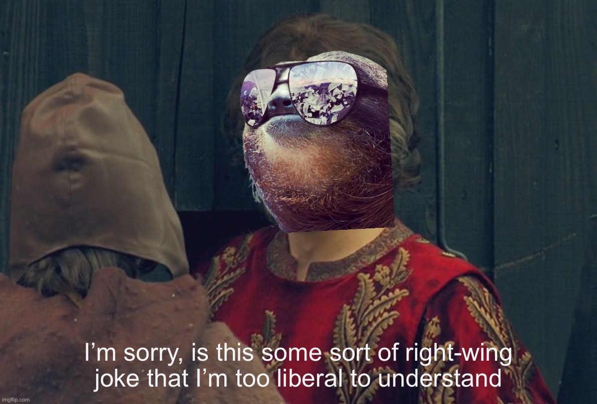 High Quality Sloth I’m sorry is this some sort of right-wing joke Blank Meme Template