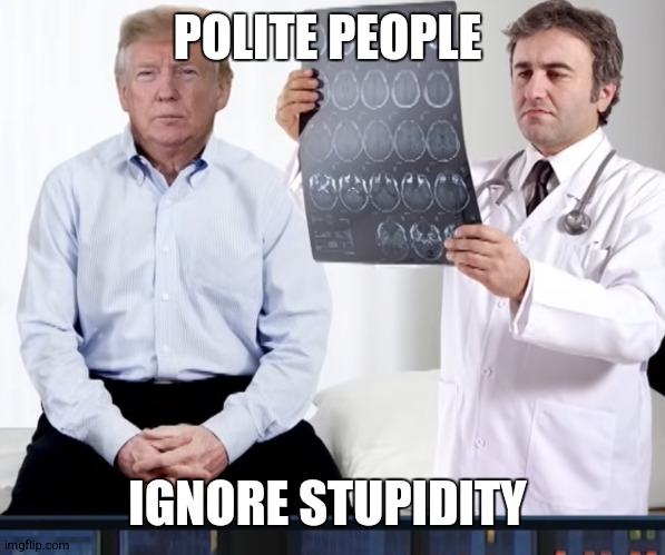 diagnoses | POLITE PEOPLE IGNORE STUPIDITY | image tagged in diagnoses | made w/ Imgflip meme maker