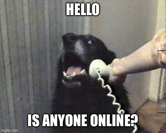 Hellllloooooooo | HELLO; IS ANYONE ONLINE? | image tagged in hello this is dog | made w/ Imgflip meme maker