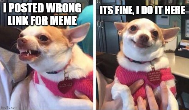 Sorry for that guys | ITS FINE, I DO IT HERE; I POSTED WRONG LINK FOR MEME | image tagged in angry calm dog | made w/ Imgflip meme maker