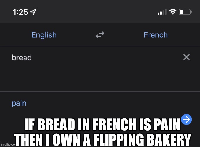 IF BREAD IN FRENCH IS PAIN
THEN I OWN A FLIPPING BAKERY | made w/ Imgflip meme maker