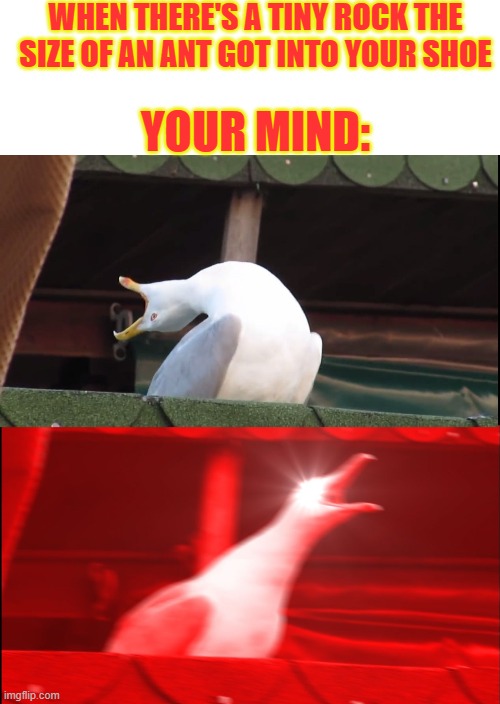 Am I right? | WHEN THERE'S A TINY ROCK THE SIZE OF AN ANT GOT INTO YOUR SHOE; YOUR MIND: | image tagged in blank white template,screaming bird,right | made w/ Imgflip meme maker