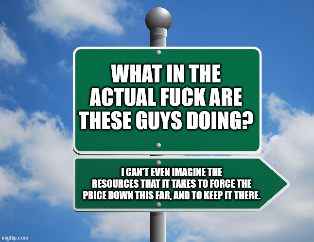 empty signpost | WHAT IN THE ACTUAL FUCK ARE THESE GUYS DOING? I CAN'T EVEN IMAGINE THE RESOURCES THAT IT TAKES TO FORCE THE PRICE DOWN THIS FAR, AND TO KEEP IT THERE. | image tagged in empty signpost | made w/ Imgflip meme maker