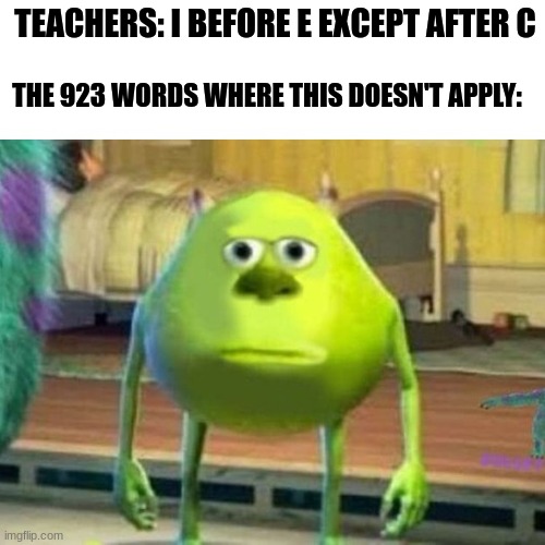 I Before E Except After C | TEACHERS: I BEFORE E EXCEPT AFTER C; THE 923 WORDS WHERE THIS DOESN'T APPLY: | image tagged in school,i before e,monsters inc,memes | made w/ Imgflip meme maker