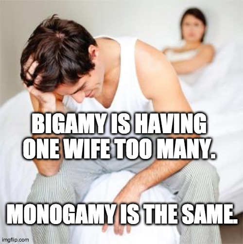 Oh man... | BIGAMY IS HAVING ONE WIFE TOO MANY. MONOGAMY IS THE SAME. | image tagged in sexless marriage guy,marriage,life problems | made w/ Imgflip meme maker