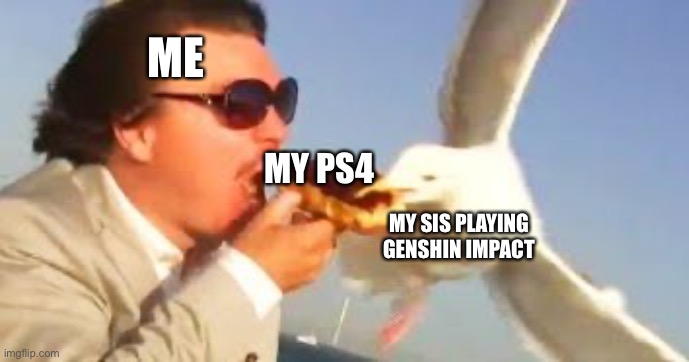 WHY JUST WHY | ME; MY PS4; MY SIS PLAYING GENSHIN IMPACT | image tagged in swiping seagull | made w/ Imgflip meme maker