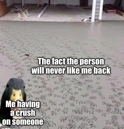 Has happened to me TWICE. Haven't had a crush on someone since | The fact the person will never like me back; Me having a crush on someone | image tagged in duck making imprints in fresh cement | made w/ Imgflip meme maker