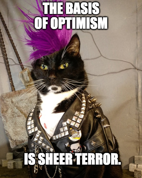 Punk Rock Kat |  THE BASIS OF OPTIMISM; IS SHEER TERROR. | image tagged in punk rock,life lessons,nihilism,optimism | made w/ Imgflip meme maker