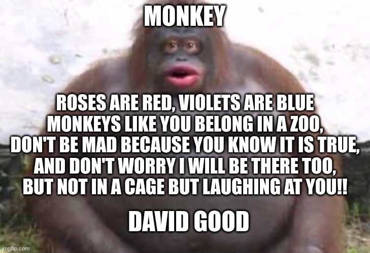 Money |  MONKEY; ROSES ARE RED, VIOLETS ARE BLUE
MONKEYS LIKE YOU BELONG IN A ZOO,
DON'T BE MAD BECAUSE YOU KNOW IT IS TRUE,
AND DON'T WORRY I WILL BE THERE TOO,
BUT NOT IN A CAGE BUT LAUGHING AT YOU!! DAVID GOOD | image tagged in monkey,poem,memes,le monke | made w/ Imgflip meme maker