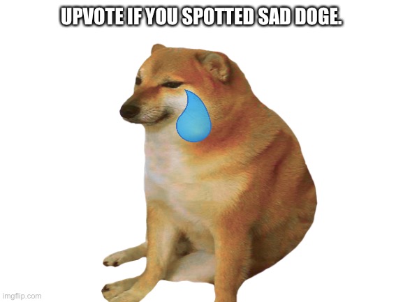 Can You Spot Doge? REALLY SUPER DUPER EXTRA HARD!!! | UPVOTE IF YOU SPOTTED SAD DOGE. | made w/ Imgflip meme maker