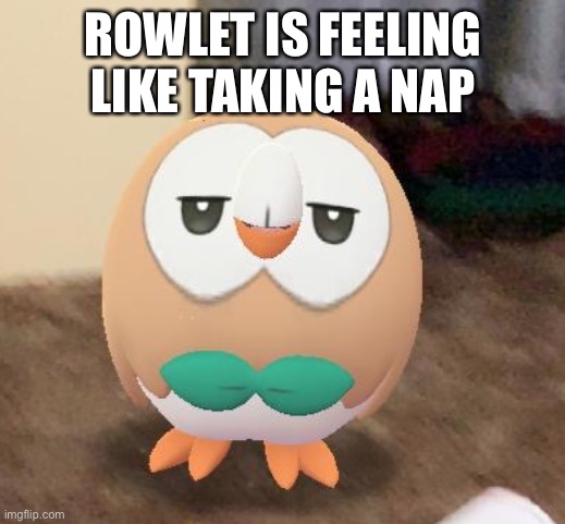 Cute owl boi | ROWLET IS FEELING LIKE TAKING A NAP | image tagged in sleepy rowlet | made w/ Imgflip meme maker