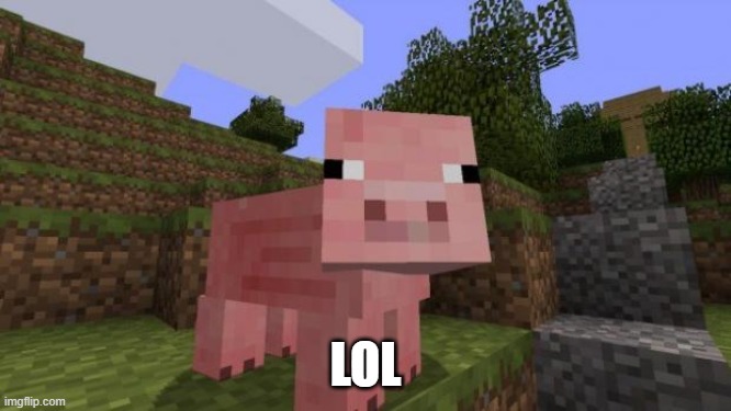 Minecraft Pig | LOL | image tagged in minecraft pig | made w/ Imgflip meme maker
