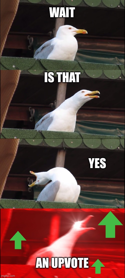 UPVOTE!!! | WAIT; IS THAT; YES; AN UPVOTE | image tagged in memes,inhaling seagull,upvotes,funny | made w/ Imgflip meme maker