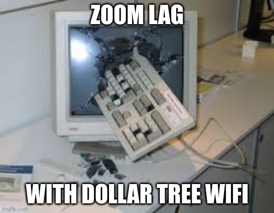 Zoom Has Great Quality | ZOOM LAG; WITH DOLLAR TREE WIFI | image tagged in internet rage quit | made w/ Imgflip meme maker