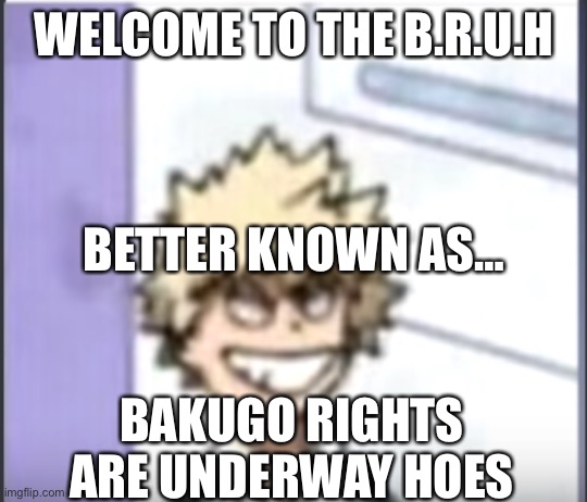 Welcome to the B.R.U.H | WELCOME TO THE B.R.U.H; BETTER KNOWN AS…; BAKUGO RIGHTS ARE UNDERWAY HOES | image tagged in bakugo sero smile | made w/ Imgflip meme maker