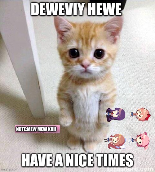 Cute Cat | DEWEVIY HEWE; HAVE A NICE TIMES; NOTE:MEW MEW KUI! | image tagged in memes,cute cat | made w/ Imgflip meme maker