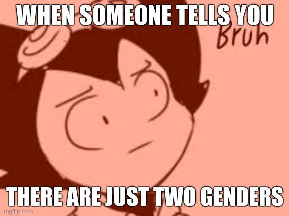 -_- this happened to me today -_- | WHEN SOMEONE TELLS YOU; THERE ARE JUST TWO GENDERS | image tagged in bruh | made w/ Imgflip meme maker