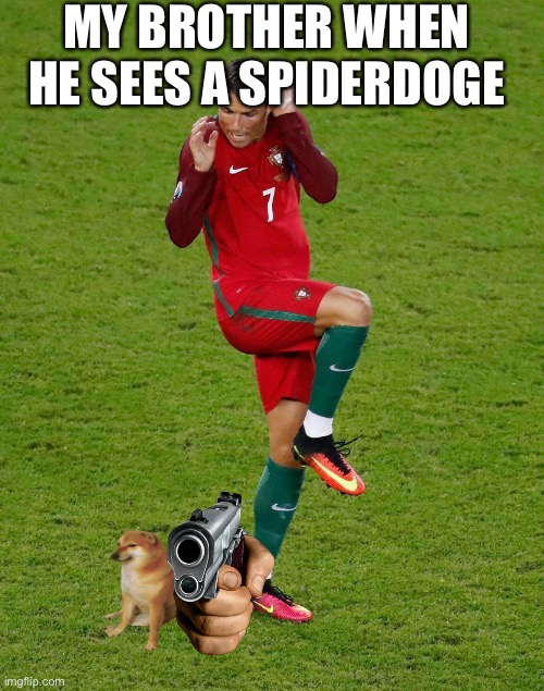 ronaldo and spider | MY BROTHER WHEN HE SEES A SPIDERDOGE | image tagged in ronaldo and spider | made w/ Imgflip meme maker