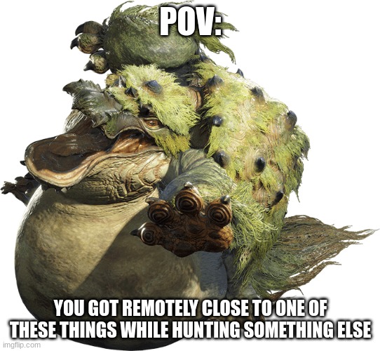 Monster hunter rise | POV:; YOU GOT REMOTELY CLOSE TO ONE OF THESE THINGS WHILE HUNTING SOMETHING ELSE | image tagged in monster hunter rise | made w/ Imgflip meme maker