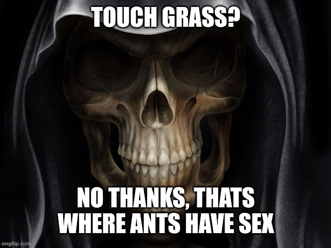 coolio skullio | TOUCH GRASS? NO THANKS, THATS WHERE ANTS HAVE SEX | image tagged in coolio skullio | made w/ Imgflip meme maker