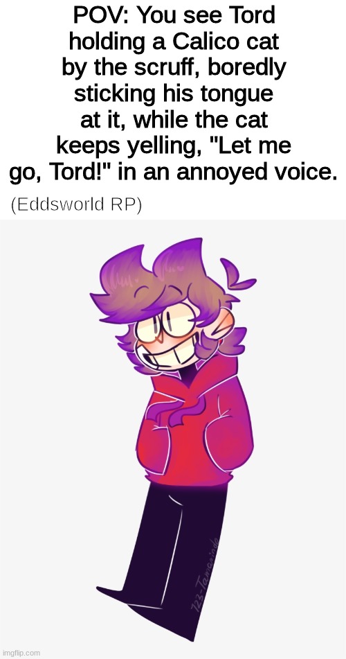 (No romance or ERP, any other RP is fine) | POV: You see Tord holding a Calico cat by the scruff, boredly sticking his tongue at it, while the cat keeps yelling, "Let me go, Tord!" in an annoyed voice. (Eddsworld RP) | image tagged in eddsworld | made w/ Imgflip meme maker