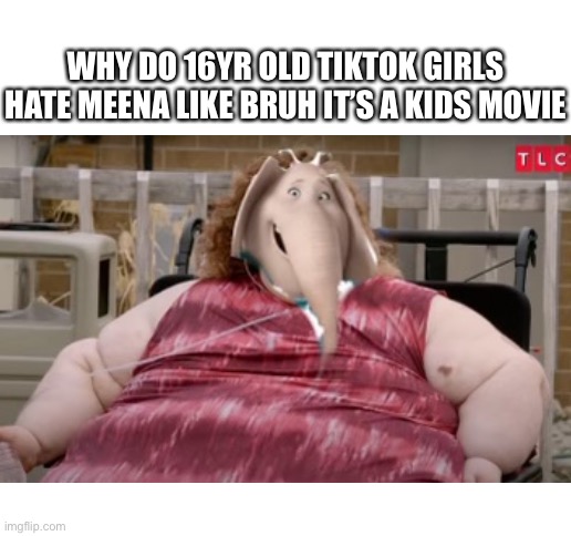 WHY DO 16YR OLD TIKTOK GIRLS HATE MEENA LIKE BRUH IT’S A KIDS MOVIE | image tagged in blank white template | made w/ Imgflip meme maker
