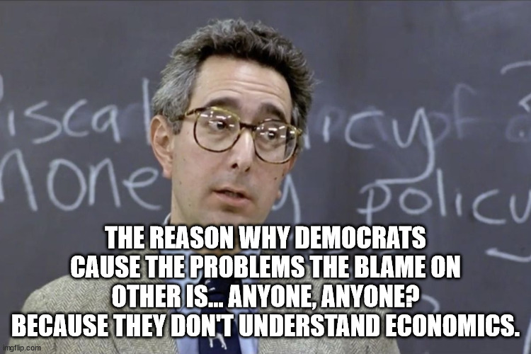 Bueller | THE REASON WHY DEMOCRATS CAUSE THE PROBLEMS THE BLAME ON OTHER IS... ANYONE, ANYONE? BECAUSE THEY DON'T UNDERSTAND ECONOMICS. | image tagged in bueller | made w/ Imgflip meme maker