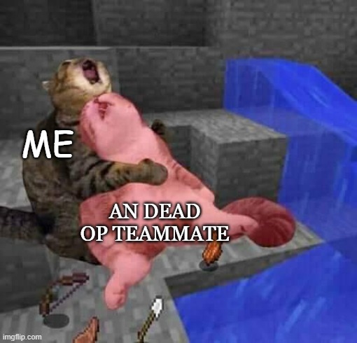 The Death Of An OP Teammate | ME; AN DEAD OP TEAMMATE | image tagged in dead minecraft cat meme | made w/ Imgflip meme maker