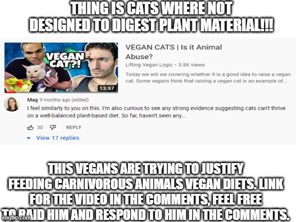 Militant vegans trying to justify feeding cats vegan diets despite cats being strict carnivores... | THING IS CATS WHERE NOT DESIGNED TO DIGEST PLANT MATERIAL!!! THIS VEGANS ARE TRYING TO JUSTIFY FEEDING CARNIVOROUS ANIMALS VEGAN DIETS. LINK FOR THE VIDEO IN THE COMMENTS, FEEL FREE TO RAID HIM AND RESPOND TO HIM IN THE COMMENTS. | image tagged in cringe,wtf,criminals | made w/ Imgflip meme maker