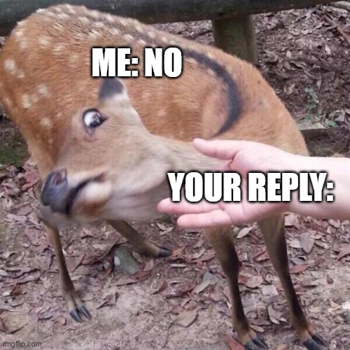 nope | ME: NO; YOUR REPLY: | image tagged in nope | made w/ Imgflip meme maker