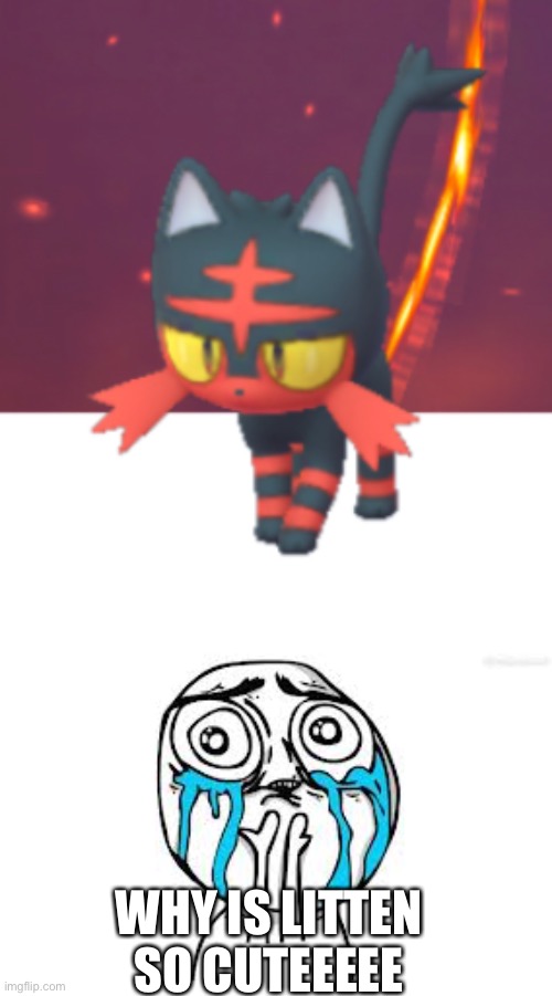 WHY IS LITTEN SO CUTEEEEE | image tagged in memes,crying because of cute | made w/ Imgflip meme maker