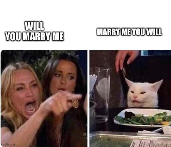 Lady screams at cat | WILL YOU MARRY ME MARRY ME YOU WILL | image tagged in lady screams at cat | made w/ Imgflip meme maker