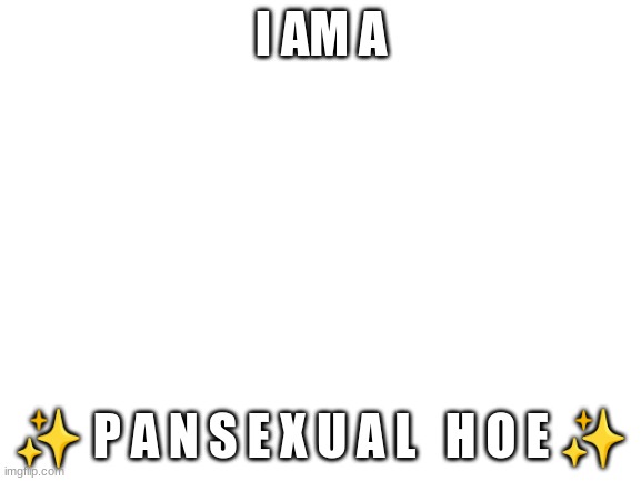 bottom text | I AM A; ✨ P A N S E X U A L   H O E ✨ | image tagged in blank white template | made w/ Imgflip meme maker