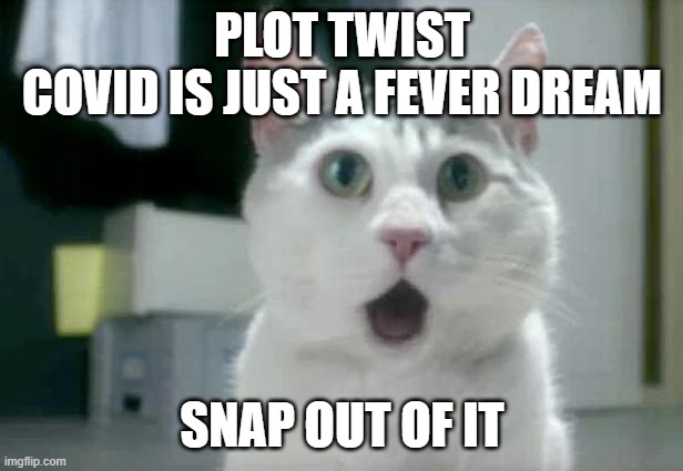 PLOT TWIST
COVID IS JUST A FEVER DREAM SNAP OUT OF IT | image tagged in memes,omg cat | made w/ Imgflip meme maker