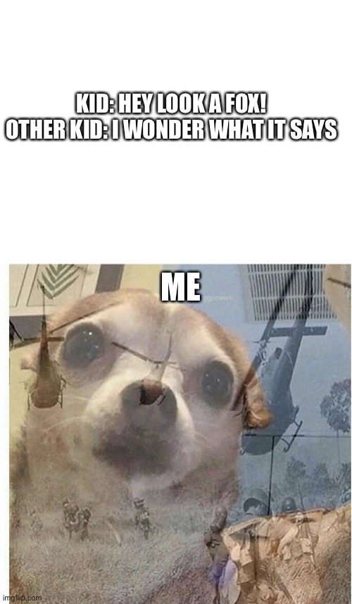 We are all veterans |  KID: HEY LOOK A FOX!

OTHER KID: I WONDER WHAT IT SAYS; ME | image tagged in blank white template,ptsd chihuahua | made w/ Imgflip meme maker