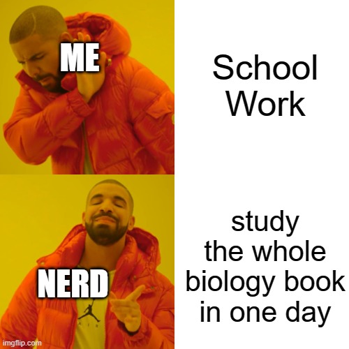 Nerd VS Me | School Work; ME; study the whole biology book in one day; NERD | image tagged in memes,drake hotline bling | made w/ Imgflip meme maker