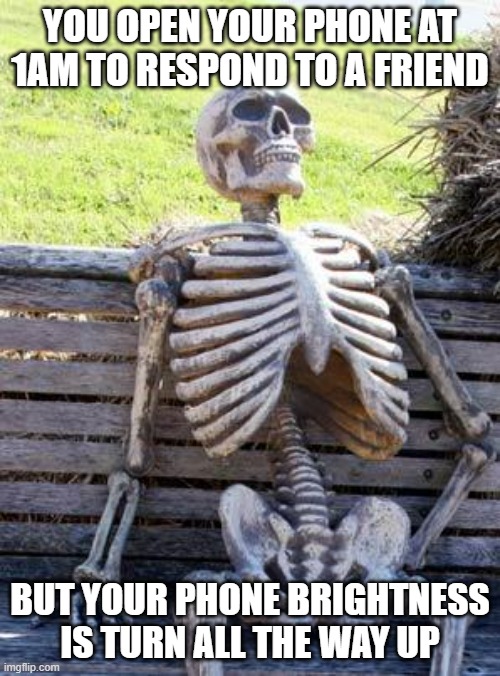 Waiting Skeleton | YOU OPEN YOUR PHONE AT 1AM TO RESPOND TO A FRIEND; BUT YOUR PHONE BRIGHTNESS IS TURN ALL THE WAY UP | image tagged in memes,waiting skeleton | made w/ Imgflip meme maker