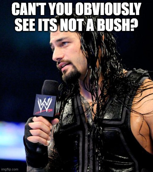 roman reigns | CAN'T YOU OBVIOUSLY SEE ITS NOT A BUSH? | image tagged in roman reigns | made w/ Imgflip meme maker