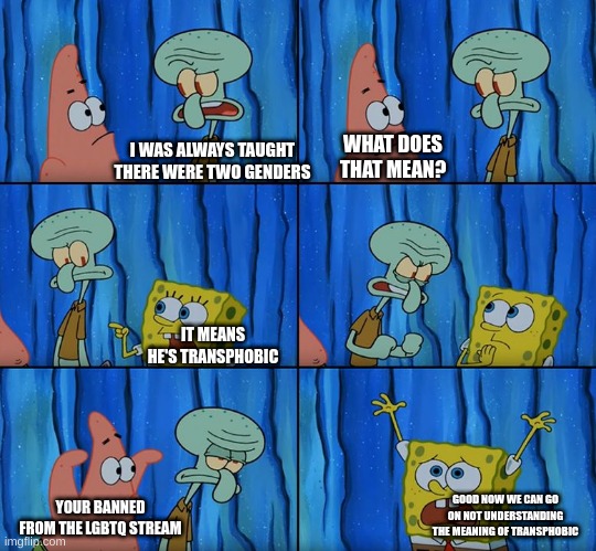 I'm squidward in this situation sadly. | WHAT DOES THAT MEAN? I WAS ALWAYS TAUGHT THERE WERE TWO GENDERS; IT MEANS HE'S TRANSPHOBIC; GOOD NOW WE CAN GO ON NOT UNDERSTANDING THE MEANING OF TRANSPHOBIC; YOUR BANNED FROM THE LGBTQ STREAM | made w/ Imgflip meme maker