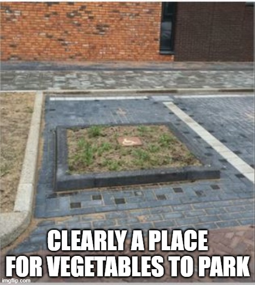 Garden Spot | CLEARLY A PLACE FOR VEGETABLES TO PARK | image tagged in you had one job | made w/ Imgflip meme maker