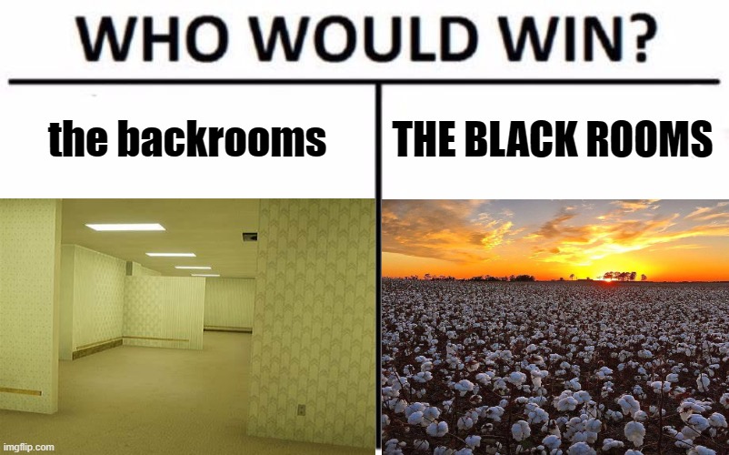 the blackrooms | the backrooms; THE BLACK ROOMS | image tagged in the backrooms,funny memes,dark humor,do people read these | made w/ Imgflip meme maker