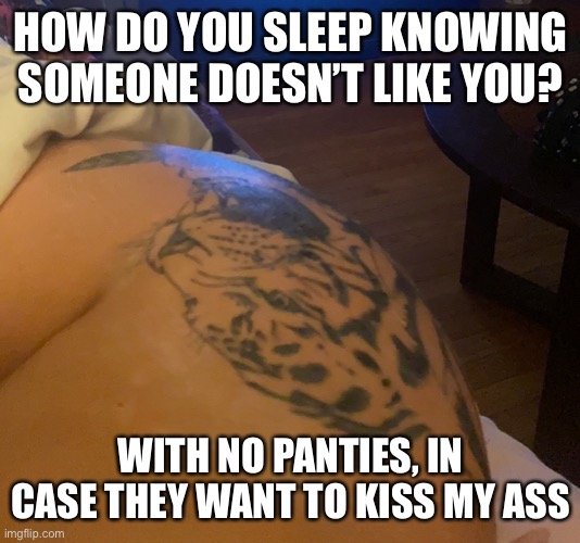 Tiger | HOW DO YOU SLEEP KNOWING SOMEONE DOESN’T LIKE YOU? WITH NO PANTIES, IN CASE THEY WANT TO KISS MY ASS | image tagged in white tiger | made w/ Imgflip meme maker