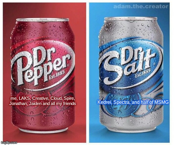no offense to anyone | me, LAKS, Creative, Cloud, Spire, Jonathan, Jaiden and all my friends; Kedrei, Spectra, and half of MSMG | image tagged in dr pepper vs dr salt | made w/ Imgflip meme maker