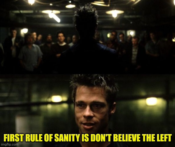 First rule of the Fight Club | FIRST RULE OF SANITY IS DON'T BELIEVE THE LEFT | image tagged in first rule of the fight club | made w/ Imgflip meme maker