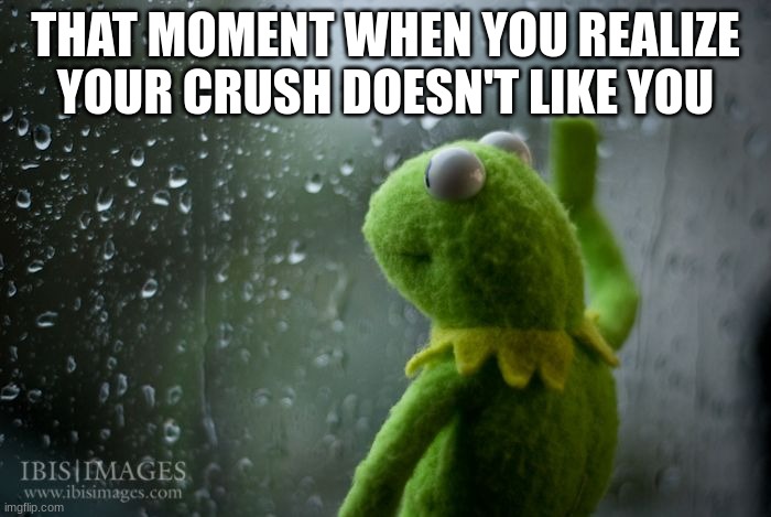 True moment for me :C | THAT MOMENT WHEN YOU REALIZE YOUR CRUSH DOESN'T LIKE YOU | image tagged in kermit window,sad | made w/ Imgflip meme maker