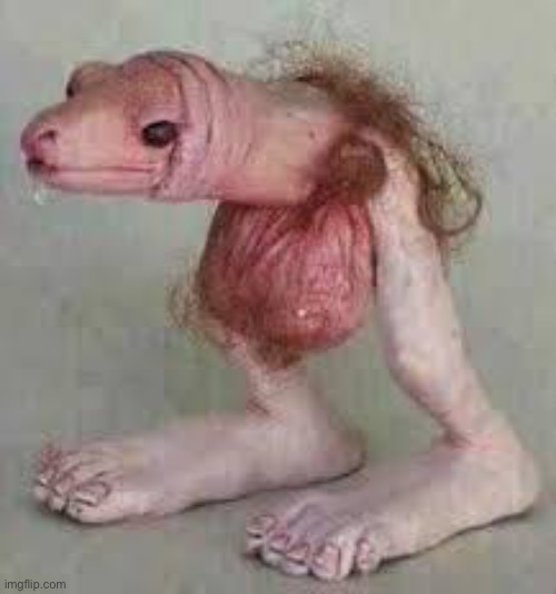 Chad | image tagged in lagarto penis | made w/ Imgflip meme maker