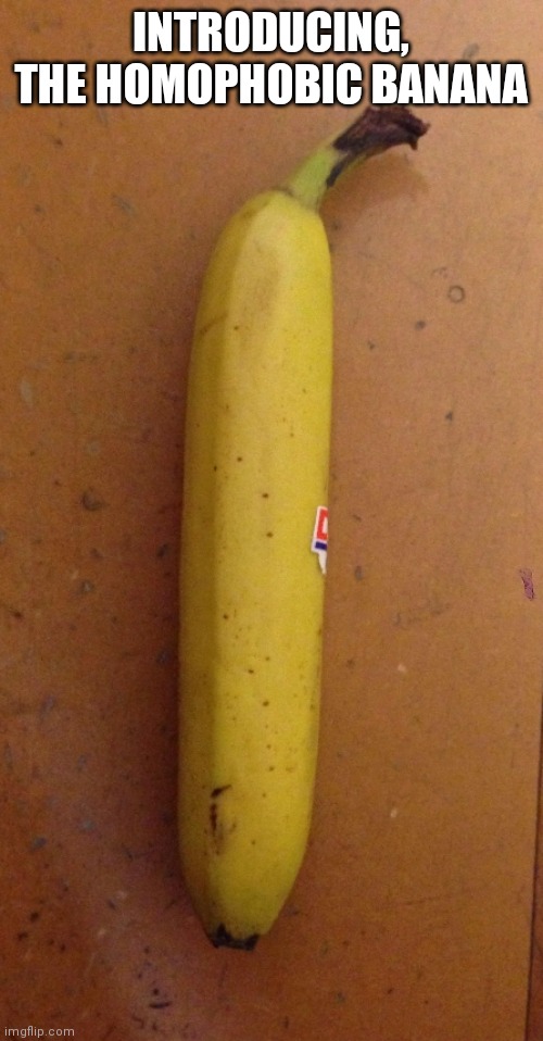 It's really not bc i'm straight and not homophobic | INTRODUCING, THE HOMOPHOBIC BANANA | image tagged in straight banana | made w/ Imgflip meme maker