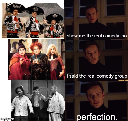 perfection |  show me the real comedy trio; i said the real comedy group; perfection. | image tagged in perfection,hocus pocus,three stooges | made w/ Imgflip meme maker